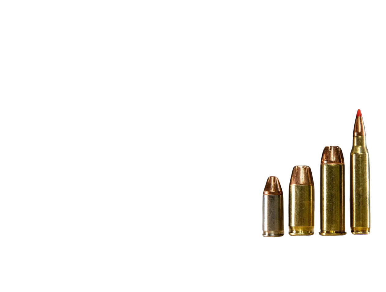 Ammunition for Firearms | Rifle, Pistol & Shotgun Rounds in All ...