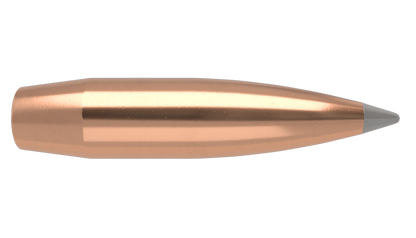 Nosler Projectiles